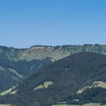 Gasthof Hauslwirt Отель Голлинг-на-Хальцахе